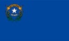 [ Nevada State Flag ]