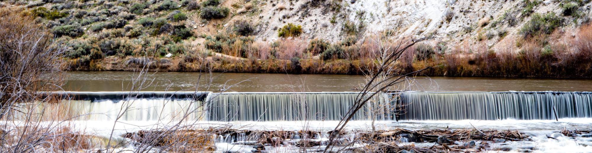 Carson River April 2020-12