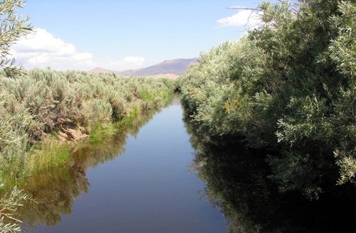Silver Saddle Ranch - view 10