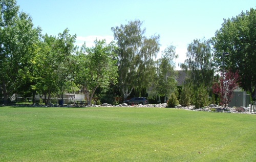 Sunset Park #3