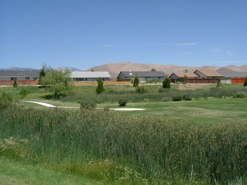 Blackwell's Pond Park #2