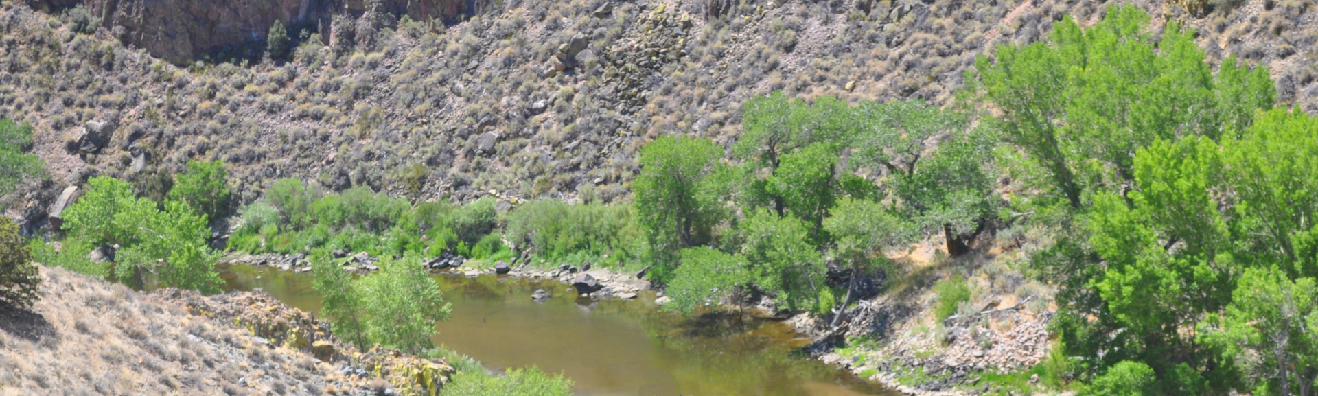 CarsonRiverCanyon